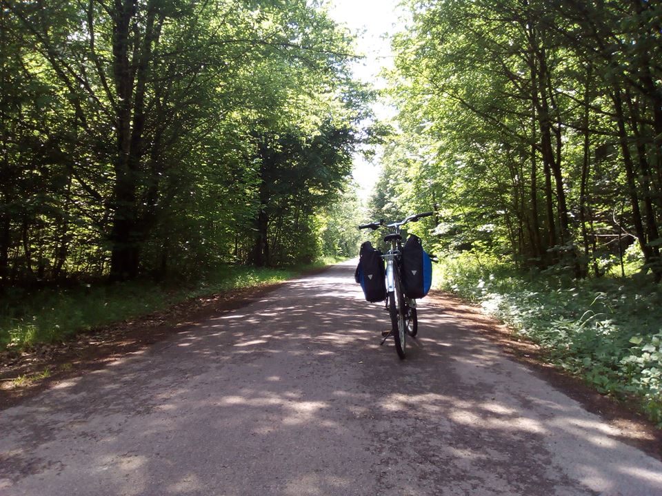 32560285_10214601130134724_5292825156777934848_n