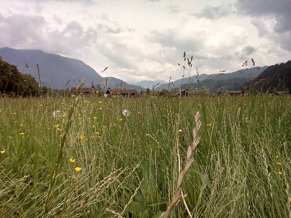 33035651_10214608559680458_4287703136207896576_o