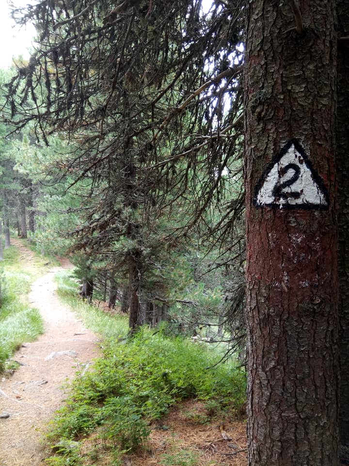 38916174_10215189957855049_3019904953083756544_n