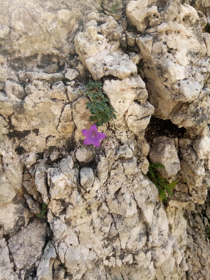 39441547_10215243425951718_5193935935674253312_n