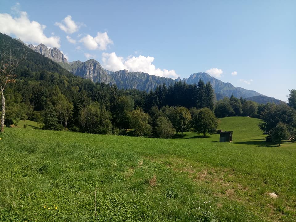 39514790_10215250568970289_2100129494667886592_n