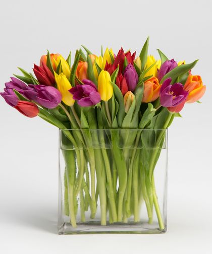 0812213bb3a4c6c7a2796e46faffab0b